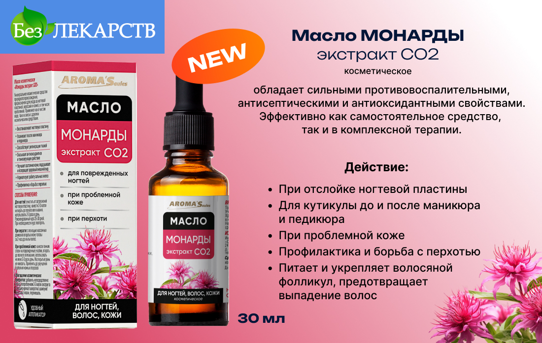 монарда